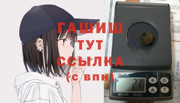гидра Дмитров