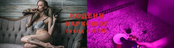 гидра Дмитров