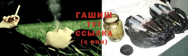 гидра Дмитров