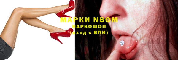 гидра Дмитров