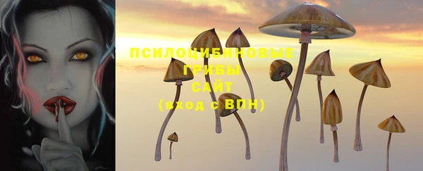 соль курить ск Дмитровск