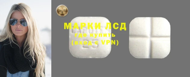 гидра Дмитров