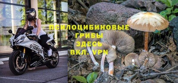 соль курить ск Дмитровск