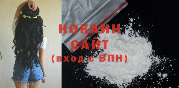 сатива Ельня