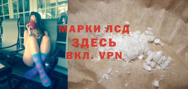сатива Ельня