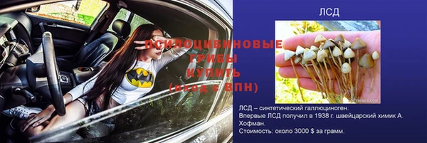 СК Елизово