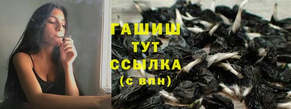 гидра Дмитров