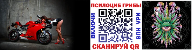 Галлюциногенные грибы Magic Shrooms  Купить где  Белово 
